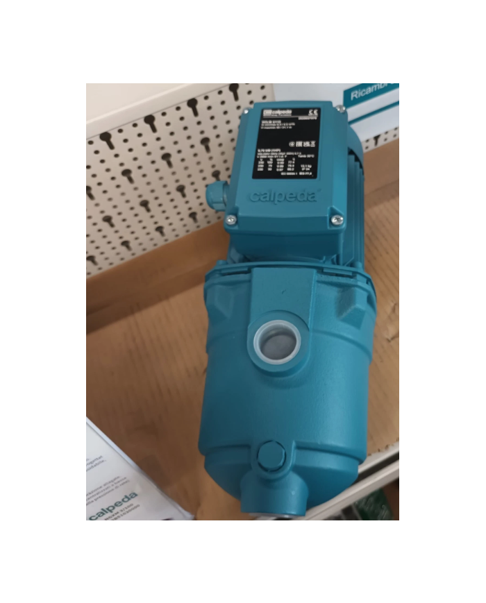 Calpeda NGLM 4/110 Elettropompa Autoadescante Jet Monofase 230V TREVISO